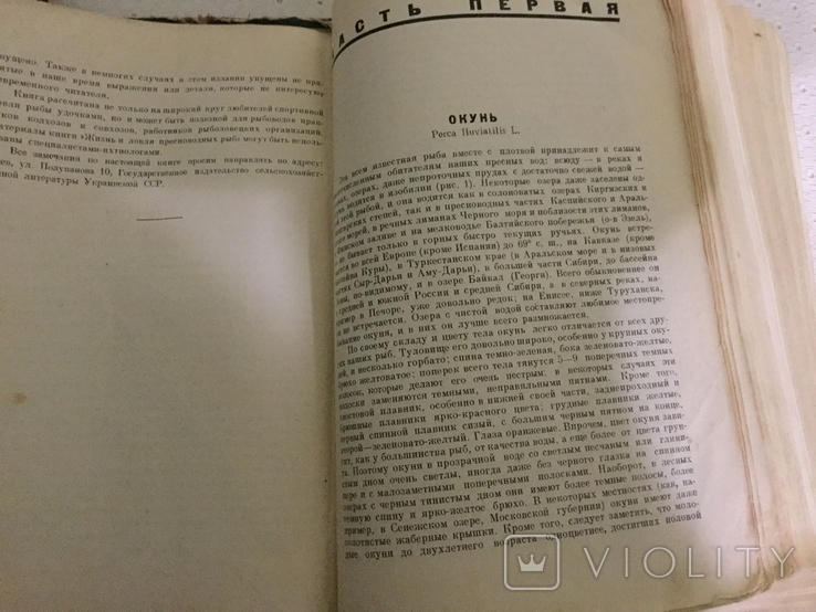 Жизнь и ловля пресноводных рыб Л. Сабанеев, фото №4