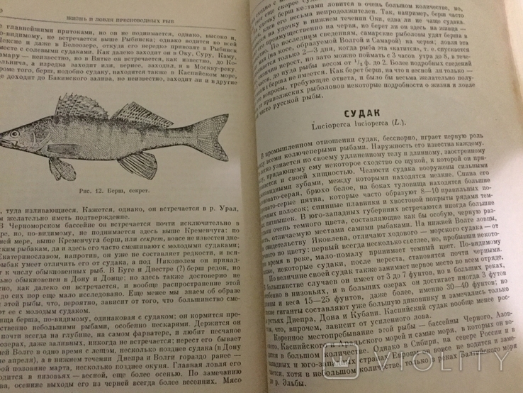 Жизнь и ловля пресноводных рыб Л. Сабанеев, фото №5
