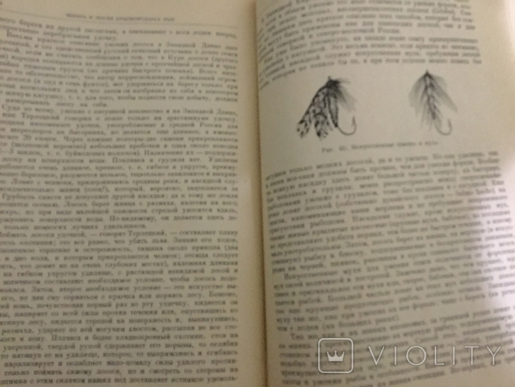 Жизнь и ловля пресноводных рыб Л. Сабанеев, фото №6