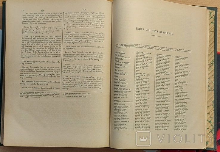  387.Словарь французского языка 1884 год.Supplement.очень большой. E. Littre., фото №11