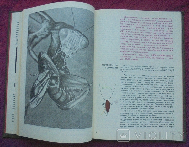 The world of animals. Stories about insects. Igor Akimushkin, photo number 8