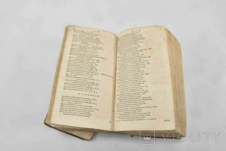 Novus VIRGILII poeticus, Кельн 1703 г, фото №7