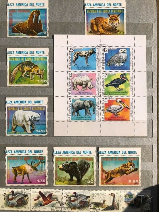Коллекция марок животные, фото №5
