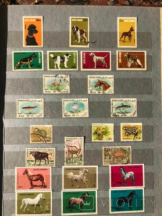 Коллекция марок животные, фото №8