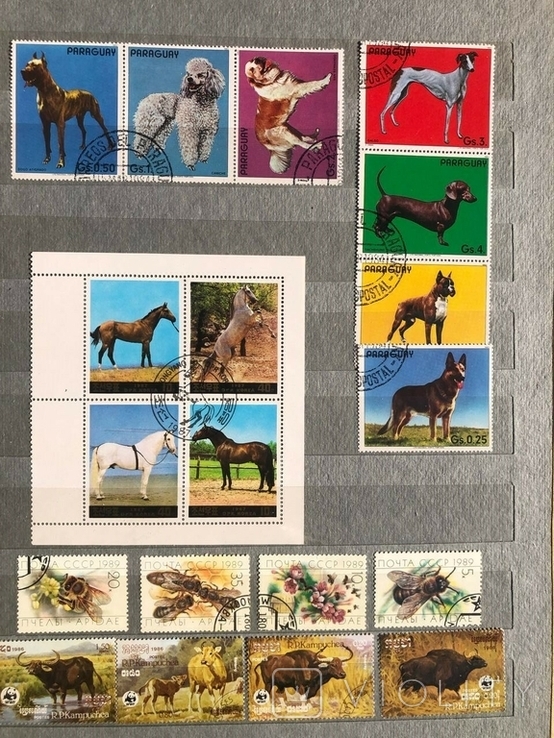 Коллекция марок животные, фото №9