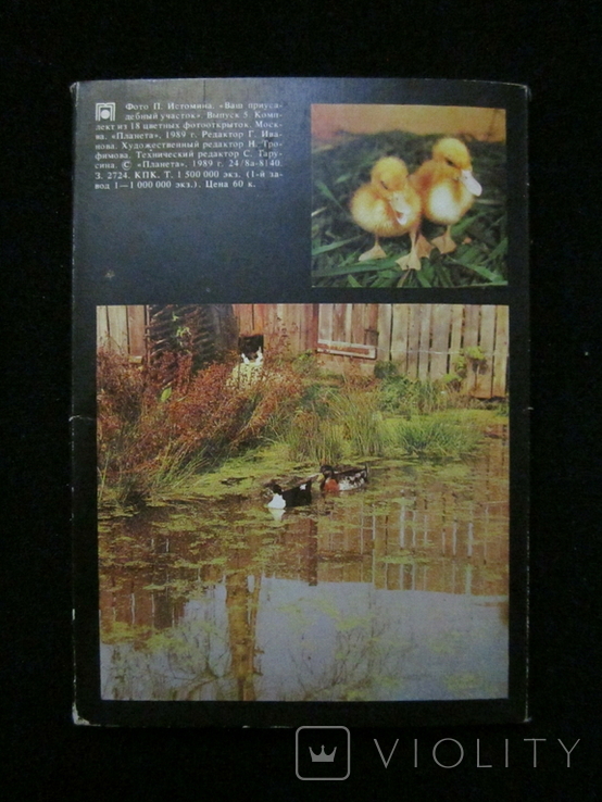 Комплект открыток СССР. Птичий двор. 1989г., фото №3