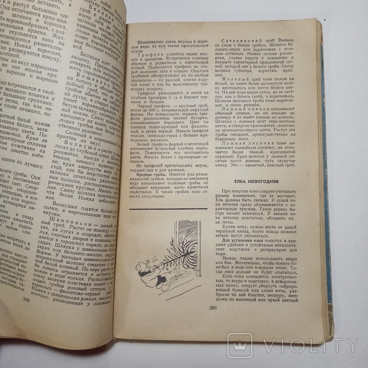 1960 Полезные советы, изд-во Московский рабочий, фото №8