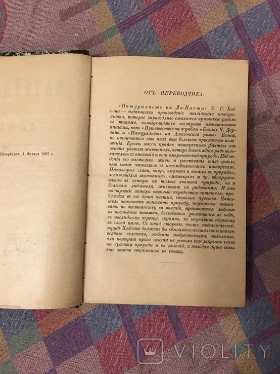 Натуралист на Ла-Плат 1897г У. Хэдсон (животные птицы), фото №5