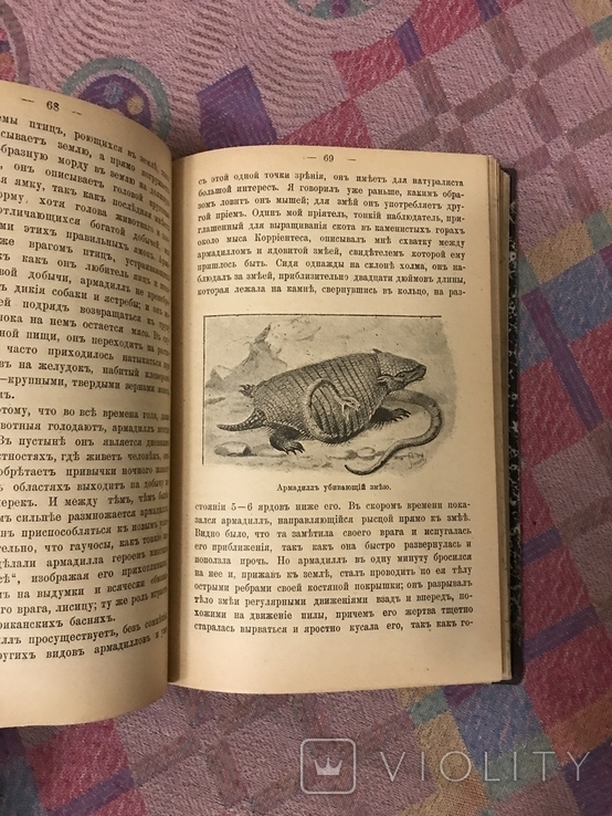 Натуралист на Ла-Плат 1897г У. Хэдсон (животные птицы), фото №12