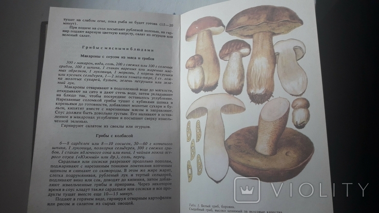 С.П.Васер. Їстивні та отруйні гриби Карпат, фото №4