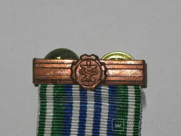 Медаль Державна митна служба За Сумлінну Службу, фото №6