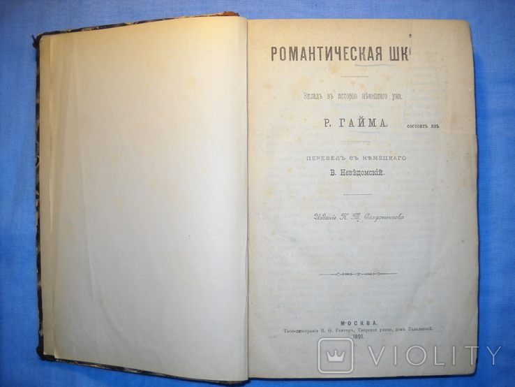 Романтическая школа Р.Гайма 1891г., фото №4