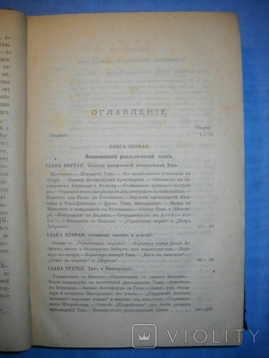 Романтическая школа Р.Гайма 1891г., фото №8