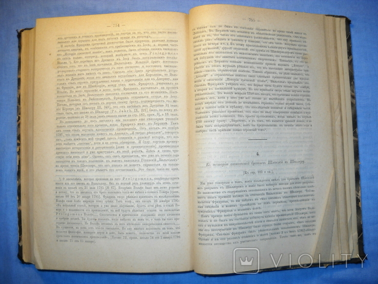 Романтическая школа Р.Гайма 1891г., фото №10