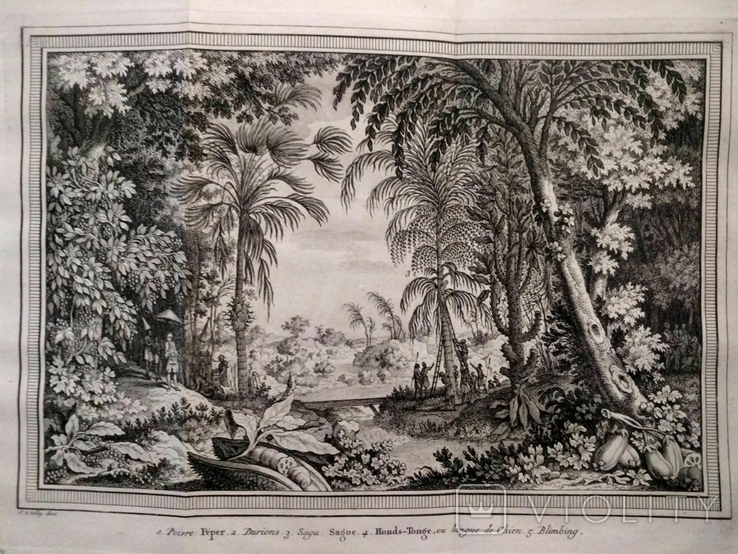 1747 "Африканские джунгли" (большая гравюра 39х26 Верже) СерияАнтик