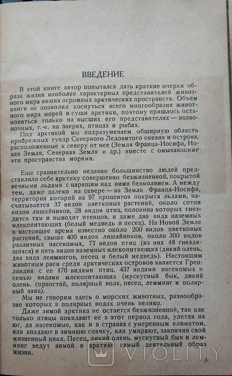 52. Звери, птицы и рыбы Арктики 1937 г. В. К. Есипов., фото №5