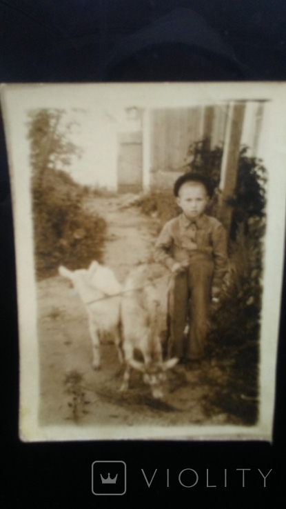 Пастух Коля. 1948год., фото №2