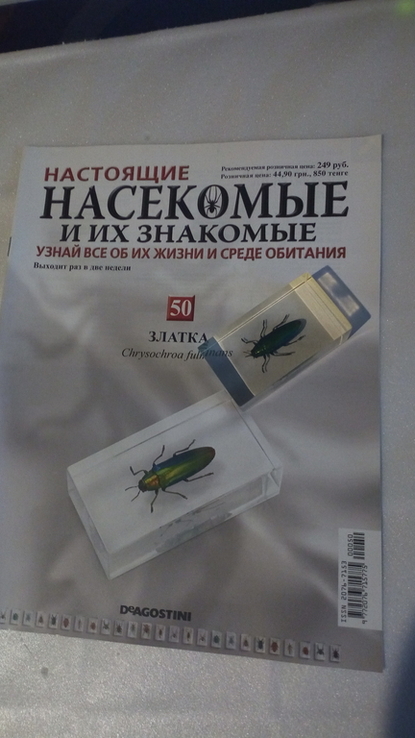 Насекомые и их знакомые №50 (златка), фото №2