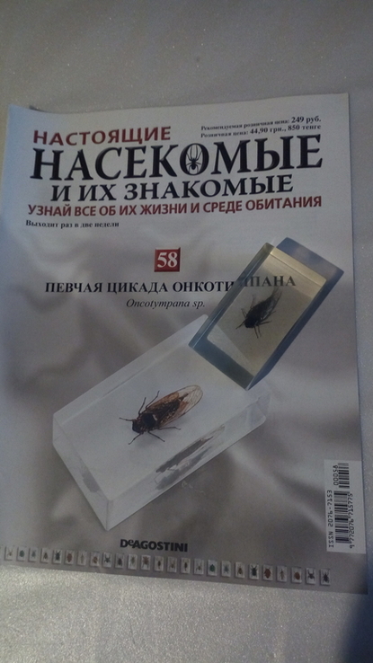 Насекомые и их знакомые №58 (певчая цикада), numer zdjęcia 2