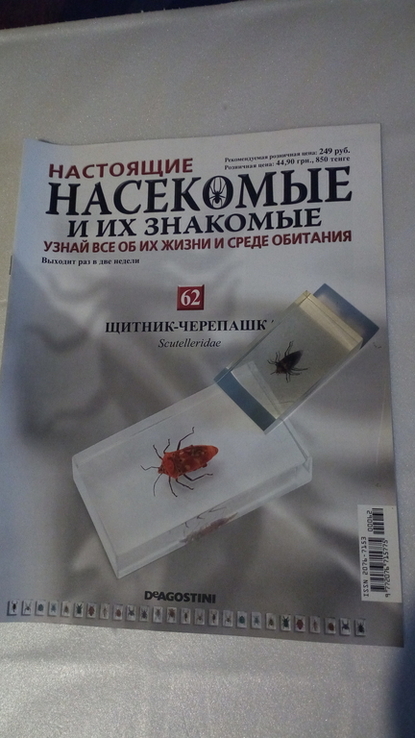 Насекомые и их знакомые №62 (щитник черепашка), numer zdjęcia 2