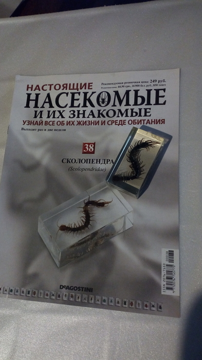 Насекомые и их знакомые №38 (сколопендра), numer zdjęcia 3