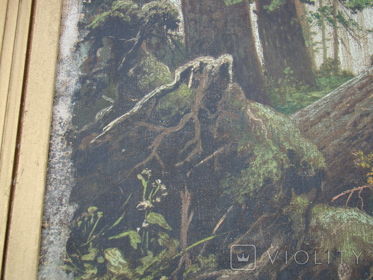 Картина Утро в сосновом лесу, копия 1925г., художник Эм.Щербаков -  «VIOLITY»