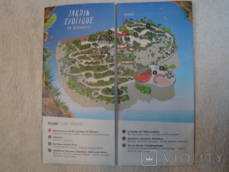 Plan of an exotic garden in Monaco, photo number 5