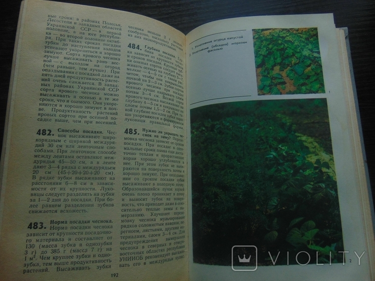 800 практический советов огороднику - любителю. 1988, фото №6