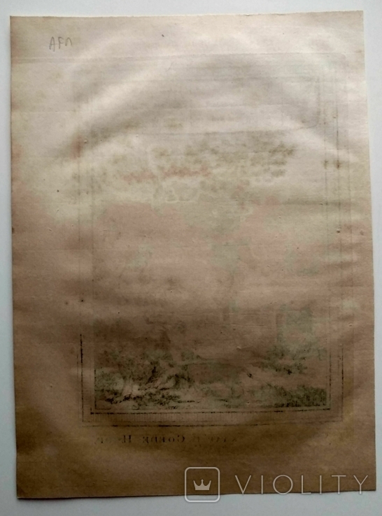 1747 Животные мыса Доброй Надежды (гравюра 19х26 Верже) СерияАнтик, фото №12