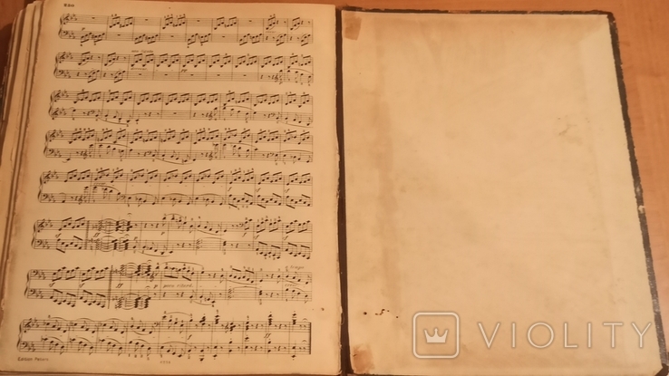 Sonaten fr Pianoforte solo von L. van Beethoven, фото №8