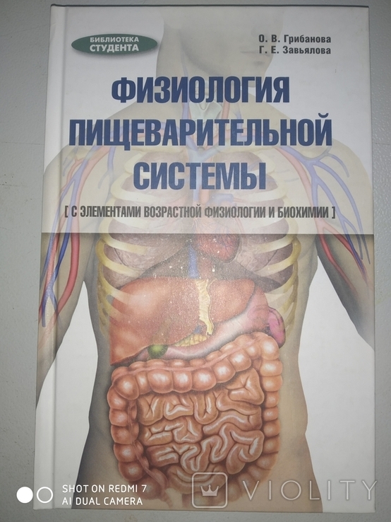 О.В Грибанова Г.Е Завьялова Физиология пищеварительной системы, фото №2