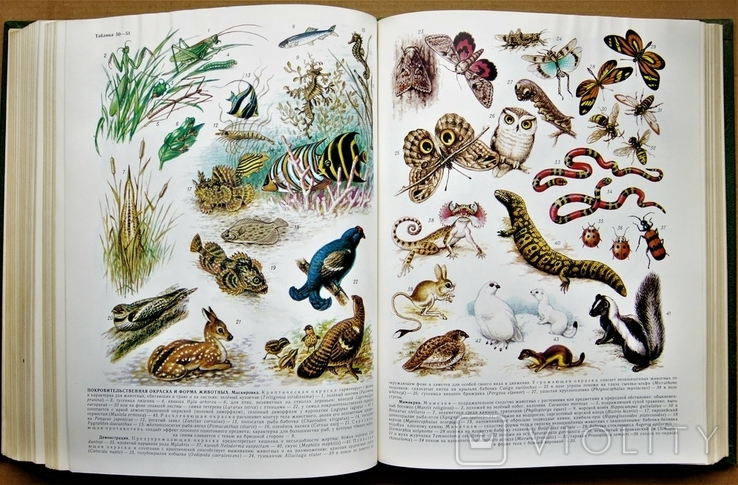 Биологический энциклоп.словарь 1986г., фото №12