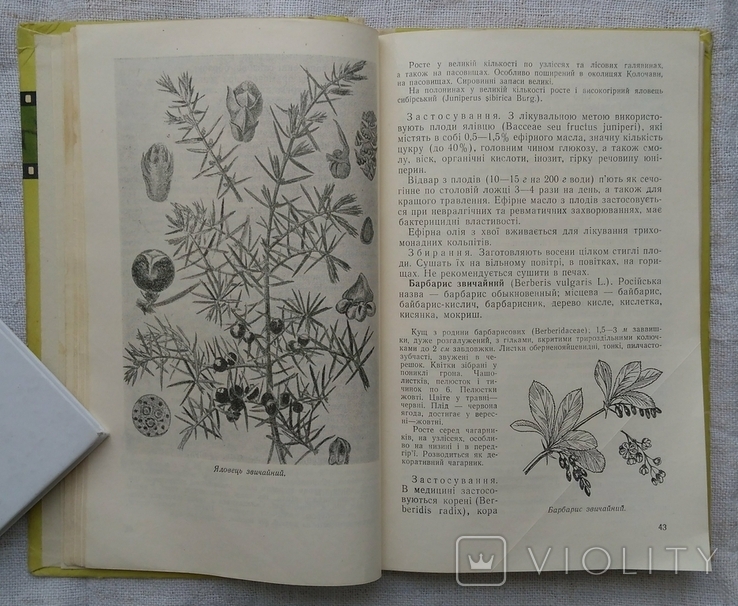 Лікарські рослини Карпат. В. Комендар. 1971р.