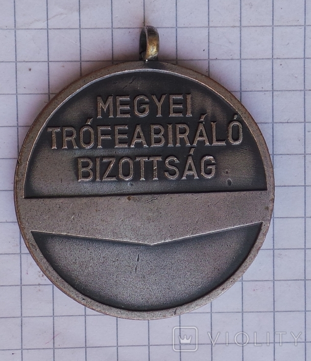 Венгрия , охота, серебренная призовая медаль, фото №4