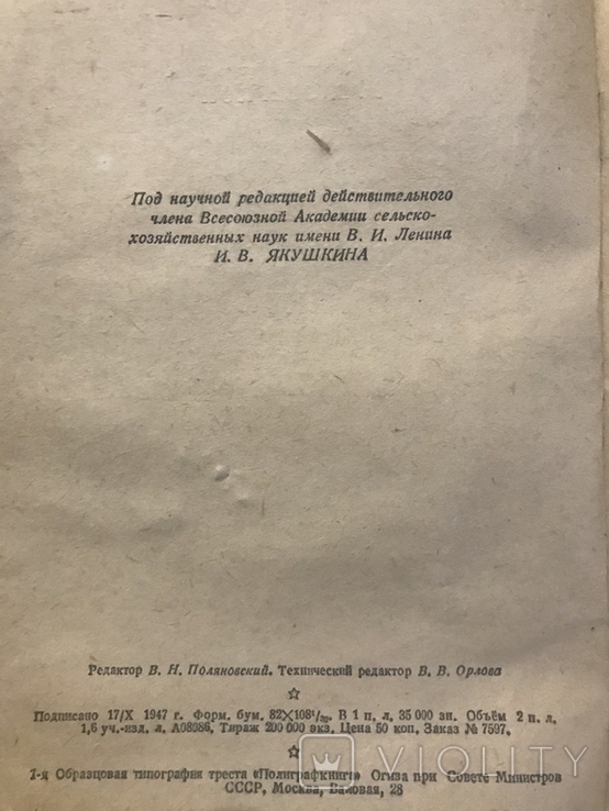 136 центнерів кукурудзи з гектара . М Е Озерний . 1947, фото №4