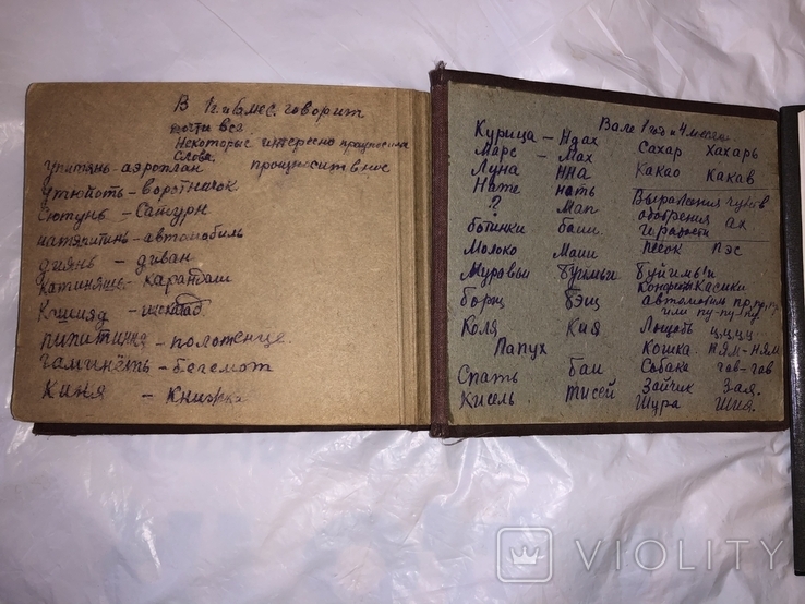 Семейный альбом академика Барабашева . 1930-ые., фото №4