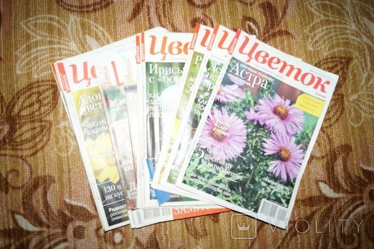 Журнал "Цветок" 21 шт. 2012 год