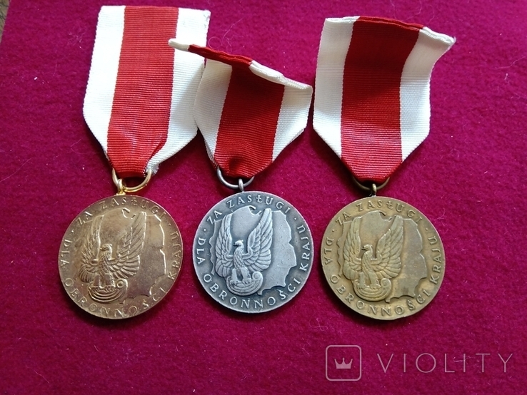 Медаль "За заслуги в Обороне Страны", три степени, фото №2