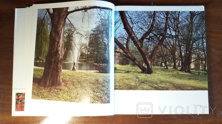 Флора.Оломоуцу / Flora. Olomouc. Rudolf Smahel. 1973г., фото №7