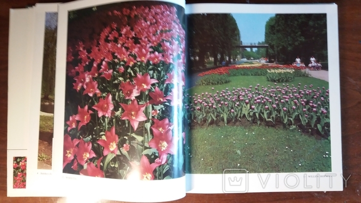 Флора.Оломоуцу / Flora. Olomouc. Rudolf Smahel. 1973г., фото №10