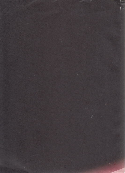 З архівів ВУЧК-ГПУ-НКВД-КГБ. 2001. №1(16), numer zdjęcia 7