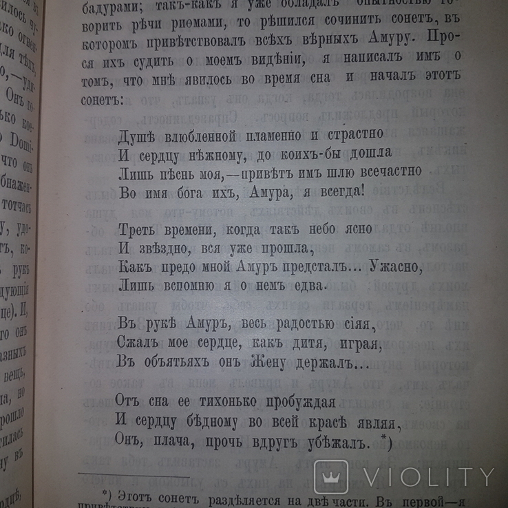 Обновленная жизнь. Данте Алигьери, фото №6