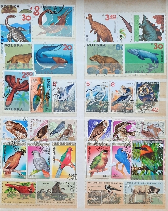 Флора и фауна марки разных стран мира (606шт), фото №4