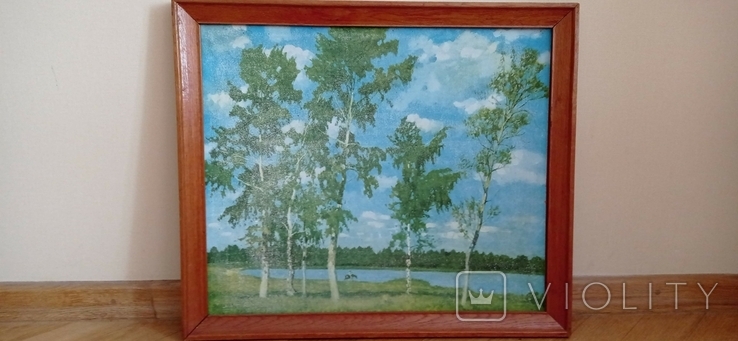 Репродукция на ткани " у озера " 1977г., фото №2