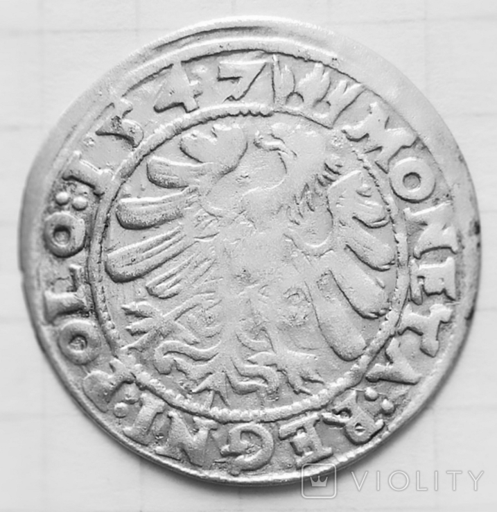 1 грош 1547 года Королевство Польша.Сигизмунд1 Старый, фото №8