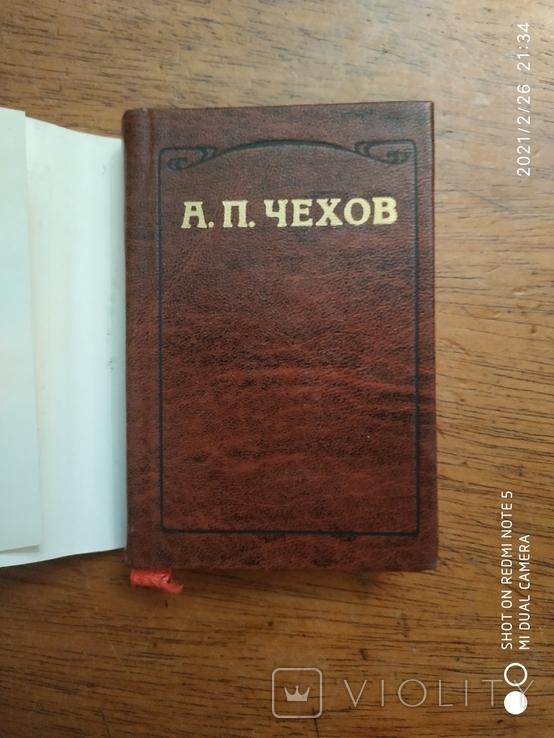 А.П. Чехов. Человек в футляре, Крыжовник, О любви. (мини формат), фото №4