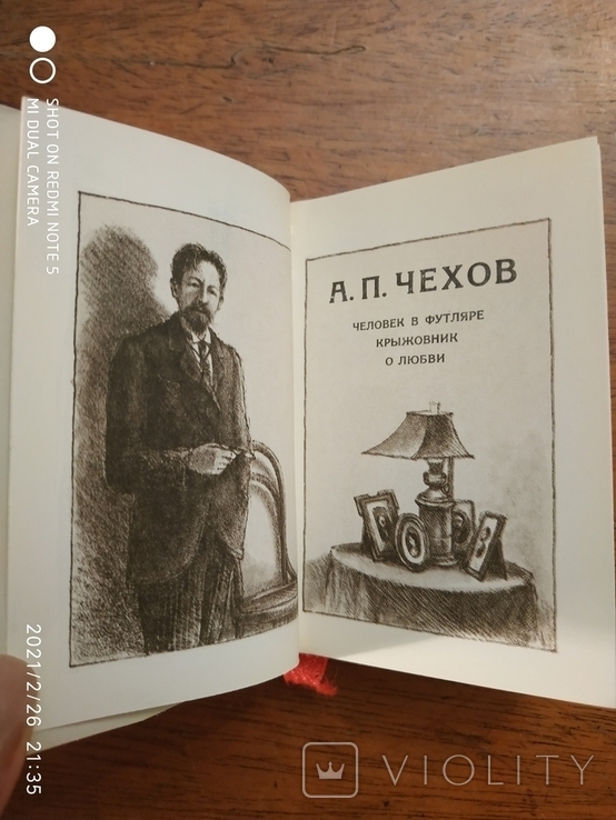 А.П. Чехов. Человек в футляре, Крыжовник, О любви. (мини формат), фото №5