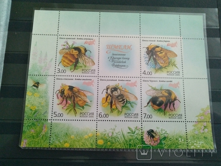 Пчелы Россия 2005 mnh, фото №2