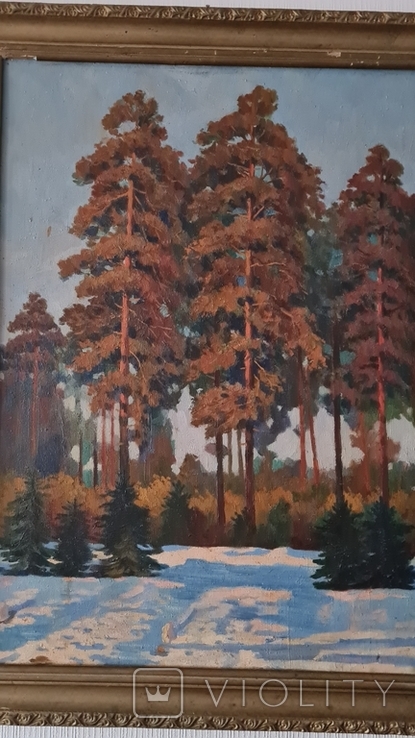 "Зимний лес"