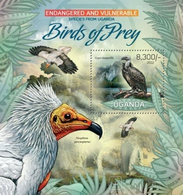 Уганда 2012 тварини птахи